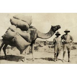 Photo from page 12 of album WWI Photograph Album- Egypt
