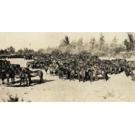 Photo from page 13 of album WWI Photograph Album- Egypt