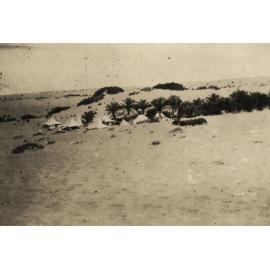 Photo from page 13 of album WWI Photograph Album- Egypt