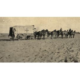 Photo from page 13 of album WWI Photograph Album- Egypt
