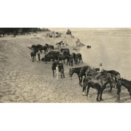 Photo from page 13 of album WWI Photograph Album- Egypt