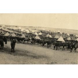 Photo from page 13 of album WWI Photograph Album- Egypt