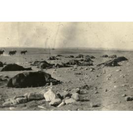 Photo from page 15 of album WWI Photograph Album- Egypt