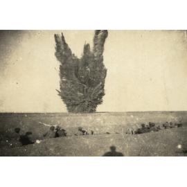 Photo from page 15 of album WWI Photograph Album- Egypt