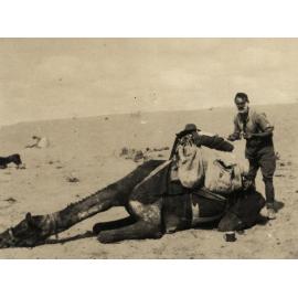 Photo from page 17 of album WWI Photograph Album- Egypt