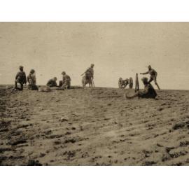 Photo from page 18 of album WWI Photograph Album- Egypt