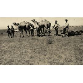 Photo from page 18 of album WWI Photograph Album- Egypt