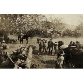 Photo from page 19 of album WWI Photograph Album- Egypt