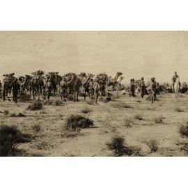 Photo from page 19 of album WWI Photograph Album- Egypt