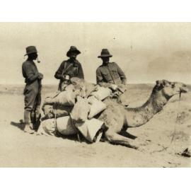 Photo from page 19 of album WWI Photograph Album- Egypt