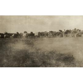 Photo from page 23 of album WWI Photograph Album- Egypt