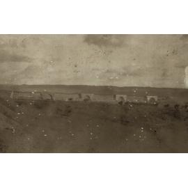 Photo from page 23 of album WWI Photograph Album- Egypt