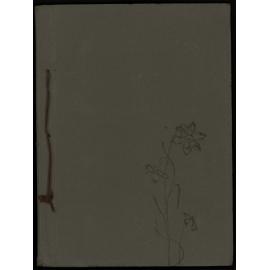 Post WWI Photograph Album- Egypt