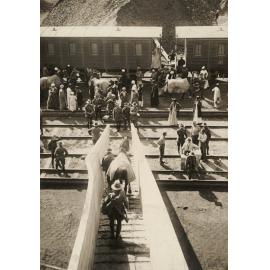 Photo from page 07 of album Post WWI Photograph Album- Egypt