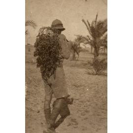 Photo from page 11 of album WWI Photograph Album- Troopship Voyage & United Kingdom