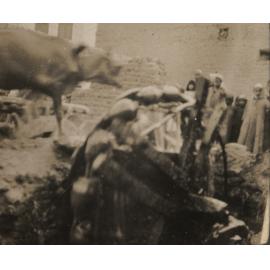 Photo from page 15 of album WW1 Photograph Album of Harry Jenkin