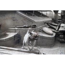 Photo from page 07 of album WWI Photograph Album- New Zealand, Troopship Journey & Egypt