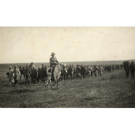 Photo from page 07 of album WWI Photograph Album- Middle East