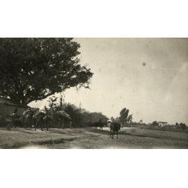 Photo from page 10 of album WWI Photograph Album- Middle East