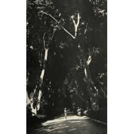 Photo from page 10 of album WWI Photograph Album- Egypt