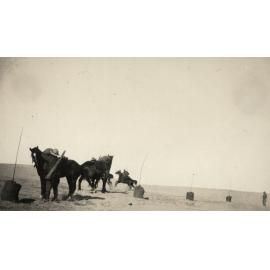 Photo from page 13 of album WWI Photograph Album- Egypt