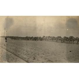Photo from page 13 of album WWI Photograph Album- Egypt