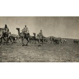 Photo from page 14 of album WWI Photograph Album- Egypt