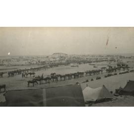 Photo from page 14 of album WWI Photograph Album- Egypt