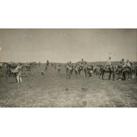 Photo from page 14 of album WWI Photograph Album- Egypt