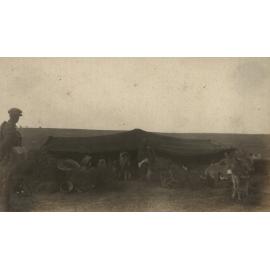 Photo from page 15 of album WWI Photograph Album- Egypt