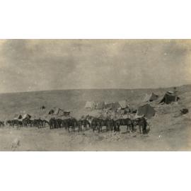Photo from page 16 of album WWI Photograph Album- Egypt