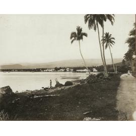 Photo from page 03 of album WWI Photograph Album - Occupation of Samoa