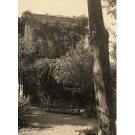 Photo from page 04 of album Post WWI Photograph Album- Egypt and Gallipoli