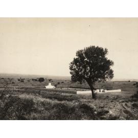 Photo from page 05 of album Post WWI Photograph Album- Egypt and Gallipoli