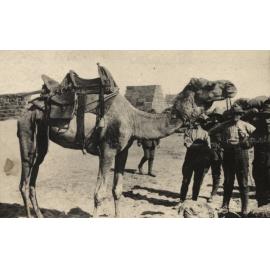 Photo from page 09 of album WWI Photograph Album- Egypt