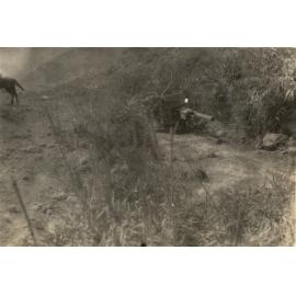 Photo from page 03 of album WWI Photograph Album- Egypt & Palestine