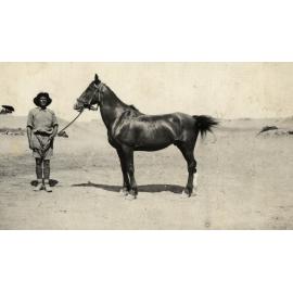 Photo from page 11 of album WWI Photograph Album- Egypt & Palestine