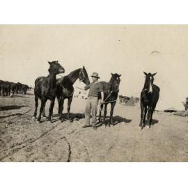 Photo from page 12 of album WWI Photograph Album- Egypt & Palestine