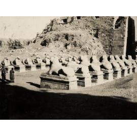 Photo from page 16 of album WWI Photograph Album- Egypt & Palestine