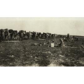 Photo from page 03 of album WWI Photograph Album- Sinai & Palestine and the Western Front