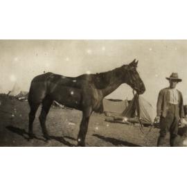 Photo from page 05 of album WWI Photograph Album- Sinai & Palestine and the Western Front