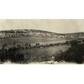 Photo from page 12 of album WWI Photograph Album- Sinai & Palestine and the Western Front