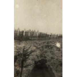 Photo from page 13 of album WWI Photograph Album- Sinai & Palestine and the Western Front