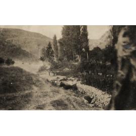 Photo from page 17 of album WWI Photograph Album- Middle East