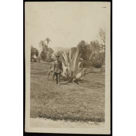 WWI Photograph Album- Middle East [loose photo]