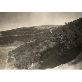 Photo from page 02 of album WWI Photograph Album- Egypt, Gallipoli & the Western Front