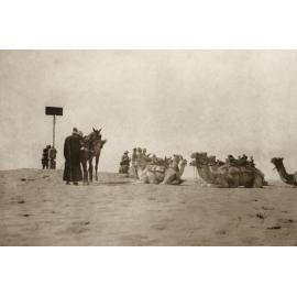 Photo from page 04 of album WWI Photograph Album- Egypt, Gallipoli & the Western Front