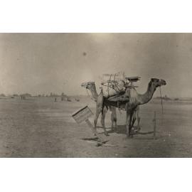 Photo from page 08 of album WWI Photograph Album- Egypt, Gallipoli & the United Kingdom