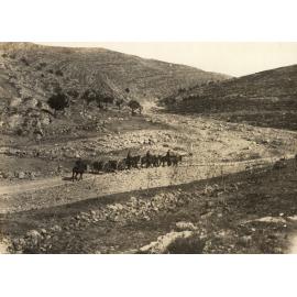 Photo from page 04 of album WWI Photograph Album- Egypt, Gallipoli, Palestine, France & England