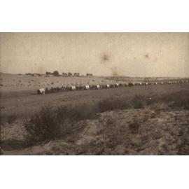 Photo from page 03 of album WWI Photograph Album- Gallipoli, Sinai & Palestine
